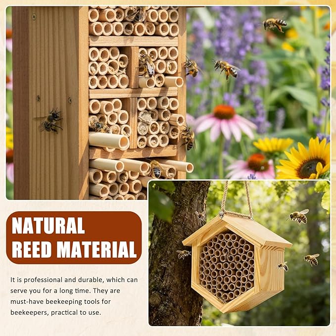 IMIKEYA 100Pcs Natural Reed Bee Tubes for Mason Bee House Tubes Refill Outdoor Pollination, 6" Long x 0.2"-0.3" Diameter, Reed Nesting for Colony Hotel Garden Pollinator Habitat