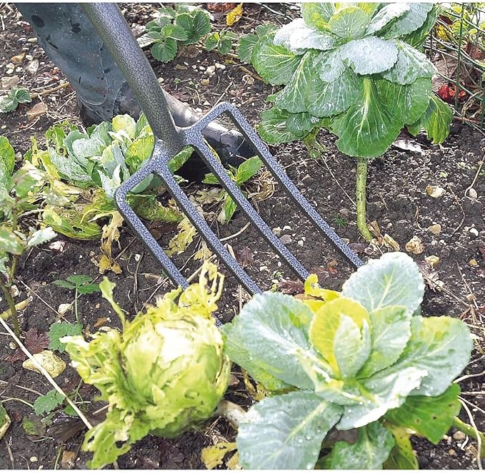 Draper 88789 Carbon Steel Garden Fork