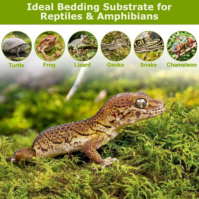 Legigo 4.4LBS Sphagnum Moss for Plants, 80QT Natural Orchid Moss Potting Mix Dried, Green Forest Plant Moss for Orchid Repotting Carnivorous Succulents Indoor Potted Plants Gardening and Reptiles