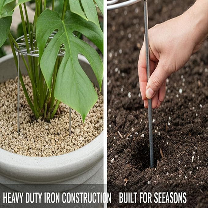 Plant Support Ring for Most Plants – Heavy Duty Metal Cage for Flowers, Vegetables, Tomatoes, Peonies, Roses – Garden Stake for Indoor/Outdoor Pots – No Tools Needed (L)