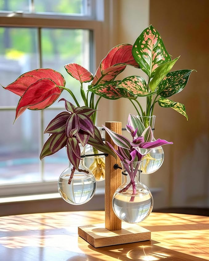 Plant Propagation Stations with Wood Stand, Plant Terrarium for Home Office Garden Decor, Gardening Gifts for Plant Lovers, 4 Glass Propagation Vases (Bulb Shape)