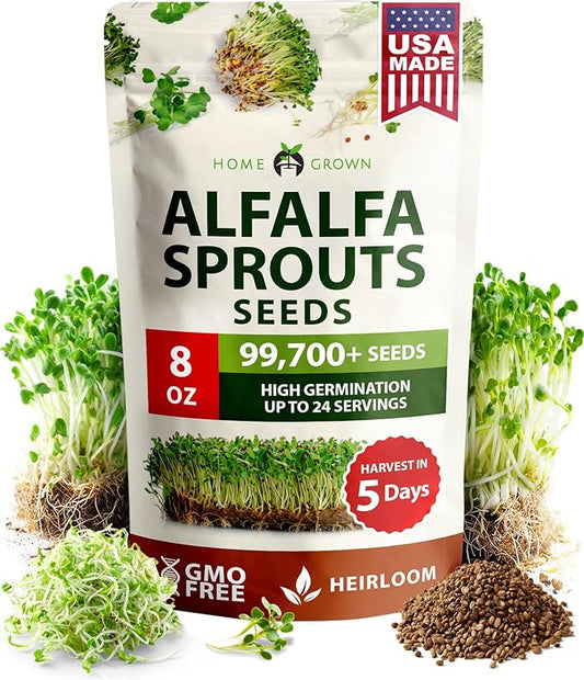 HOME GROWN Alfalfa Sprout Seeds 8 oz Bulk Heirloom Non-GMO, USA Sourced, High Germination, Fast Growing Microgreens, Nutrient Dense Sprouting Seeds for Sandwiches & Salads, Indoor Garden