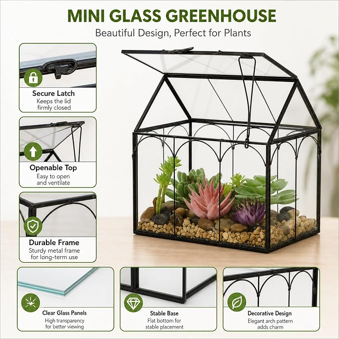 Ferrisland Glass Plant Terrarium Container Wardian Case Indoor Small Succulent Terrarium Planter W/Door for Tabletop Decor DIY (6" L x 4.3" W x 6.3" H)