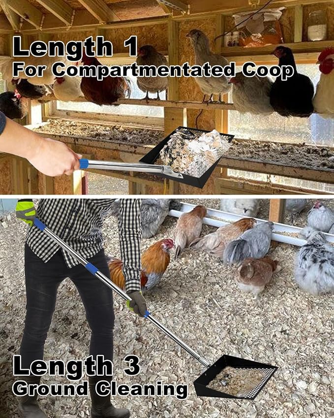 Chicken Poop Scooper, 2 Pack Chicken Coop Scoop with 3.8mm & 8mm Mesh,Chicken Poop Scooper for sand,Chicken Coop Accessories,Chicken Coop Cleaning Tools,Metal Chicken Coop Rake and Scoop Tool(Black)