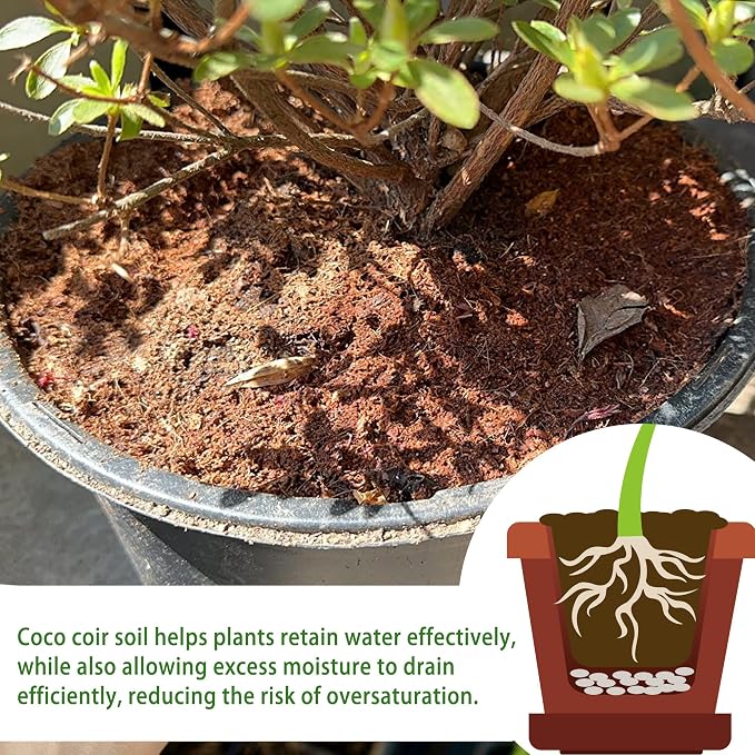 CJGQ Coco Coir for Organic Coconut Coir- 24 Pack Coco Coir Brick- Coconut Soil with Low EC & pH Balance-Coco Fiber for Herbs& Flowers- High Expansion-Renewable Coco Soil for Planting