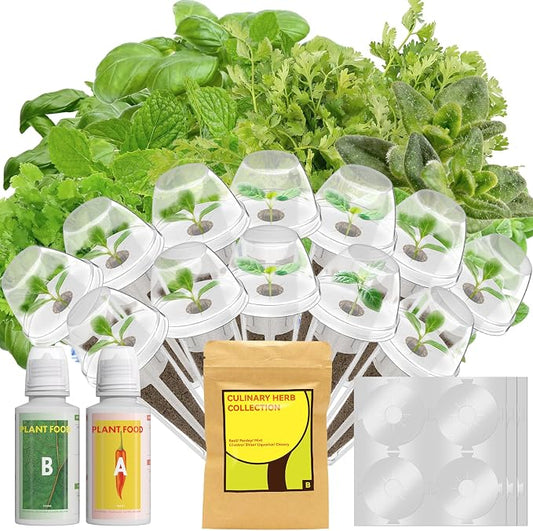 12 Pods Herb Seed Pod Kit for AeroGarden, iDOO, Ahopegarden - Compatible with All Hydroponic Indoor Garden System, 350+ Seeds Includes Basil, Parsley, Mint, Cilantro, Shiso, Liquorice and Chicory