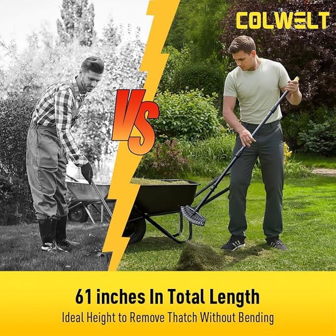 Colwelt Thatch Rake, Dethatcher Rake with Thin, Curved Spring Steel Tines, Dethatching Thatching Rake for Lawns with 61’’ Steel Handle, Lawn Tine Rakes for Pine Needles, Dead Grass, Garden Debris