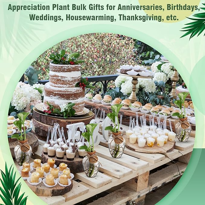 Baderke 48 Pack Big 10oz Plastic Plant Propagation Stations with Hole Lid Planter Vase Clear Propagation Jars with Thank You Tags for Plant Lover Gifts for Women Office Home Garden