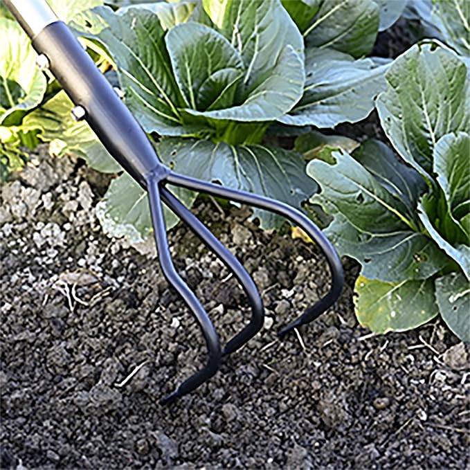 YEELOR 3-Tine Long Handle Tiller, Garden Cultivator with 55"-15.5" Adjustable Handle, for Loosening Soil, Tilling, Weeding and Fertilizing, Suitable for Elderly and Women