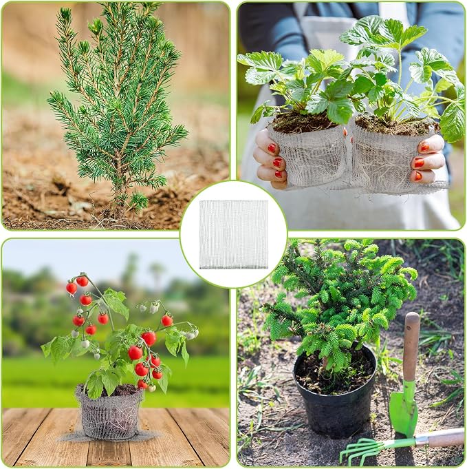8 Pcs Root Guard Gopher Proof Stainless Wire Steel Baskets, 10 Gallon Gophers Moles Voles Mesh Baskets Protect Plant Roots Tubers Trees Flowers Crops (8 Pcs 10 Gallon)