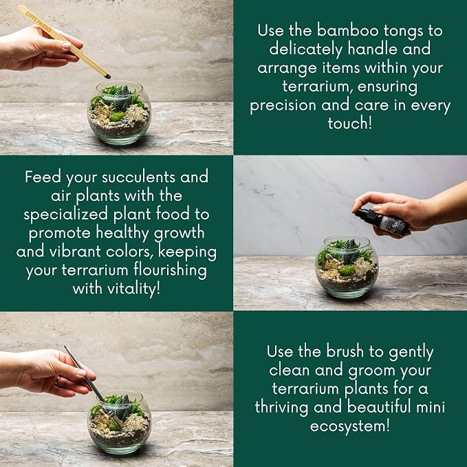Cute Farms Terrarium Starter Kit | Moss, Vermiculite, Soil, Pebbles, Plant Food, Finishing Tools, Build and Care Guide | DIY Succulent Terrarium for Adults and Kids (Medium)