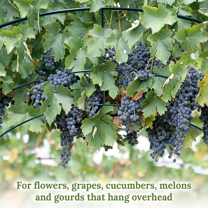 Multi-Size Large Garden Support Arch Frame Climbing Plant Arch Arbor for Flowers/Fruits/Vegetables (6.5ft x 7ft x 7.2ft)