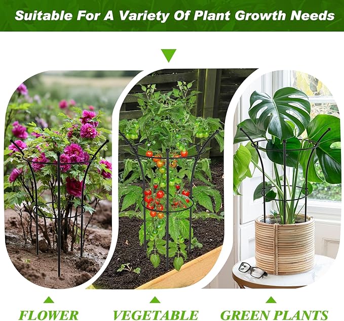 4 Pack Peony Cages and Supports, 12.5" Dx24 H Plant Supports for Outdoor Plants, Double-Ring Metal Peony Support Cage, Natural Bouquet Shape Plant Support Rings for Rose Tomato Hydrangea Strawberry