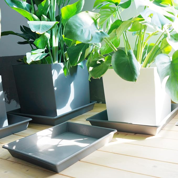 NIMYAU Square Plant Saucer 16 Inch 2 Pack, Plant Stand Plant Trays for Pots Heavy Duty Gray Plastic Plant Saucers for Indoors Outdoors, Flower Pot No Holes Plant Lover Gardening Gifts