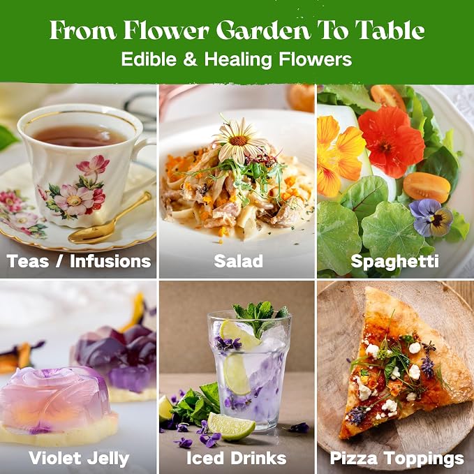 Lush&Dew Edible Flower Seed Bank with Almanac, Gardening Gifts for Women Men, 32 Types 30,000+ Non-GMO Heirloom Seeds for Planting Culinary Flowers, Survival Seed Kit, Annual Perennial, Zone 3-11
