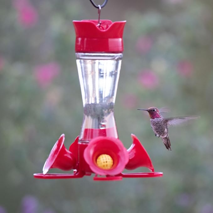 Perky-Pet 203CPBN-2 Glass Hummingbird Feeders for Outdoors with Perches,Ant Moat,Bee Guards -,2 Count (Pack of 2)