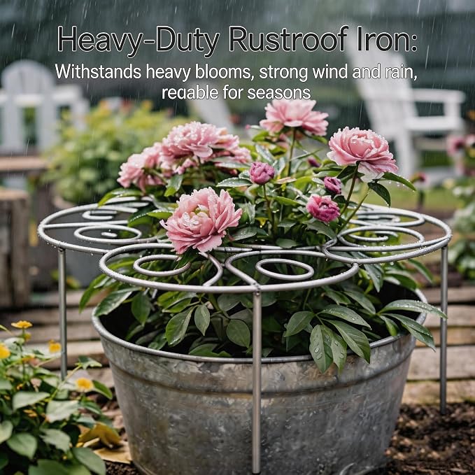 Plant Support Ring for Most Plants – Heavy Duty Metal Cage for Flowers, Vegetables, Tomatoes, Peonies, Roses – Garden Stake for Indoor/Outdoor Pots – No Tools Needed (S)
