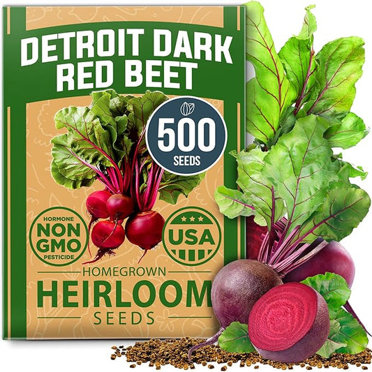 HOME GROWN Detroit Dark Red Beet Seeds 500+ Heirloom Non GMO Seeds for Planting, High Germination, Sweet & Tender Root Vegetable, Edible Greens, Canning, Pickling, Winter Storage (Beta vulgaris)