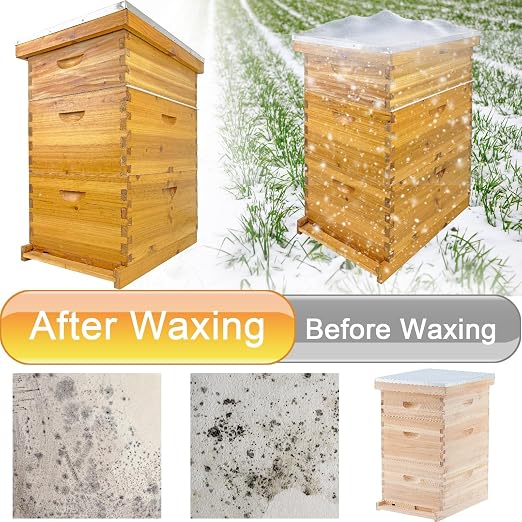 10 Frame Beehive Boxes, 3 Layer Langstroth Bee Hive Kit with 2 Deep Brood and 1 Medium Honey Super, 100% Beeswax Coated Wood Bee House, Professional Beekeeping Supplies - No Frames