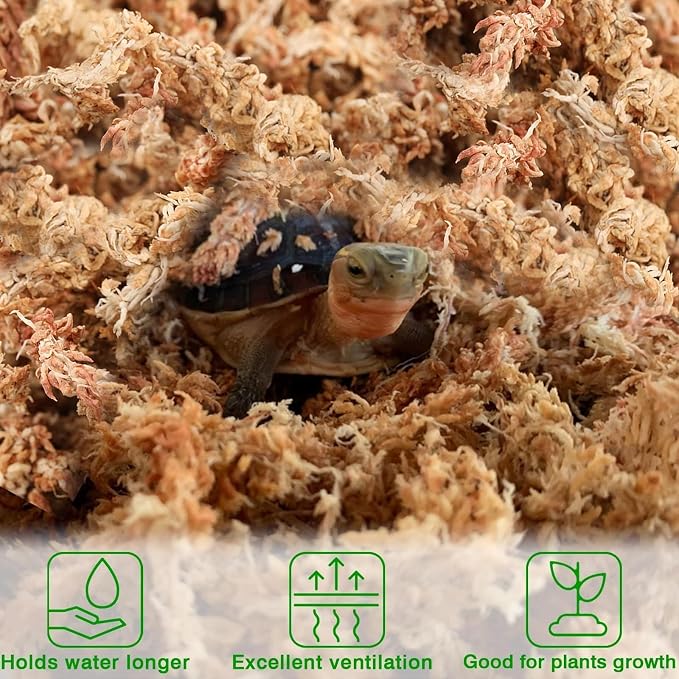 Halatool 3.6OZ Premium Sphagnum Moss for Indoor Plants, 4 QT Orchid Moss Potting Mix - Natural Sphagnum Moss for Succulents, Carnivorous(Sarracenia), Monstera, Terrarium Substrate & Reptile Habitats