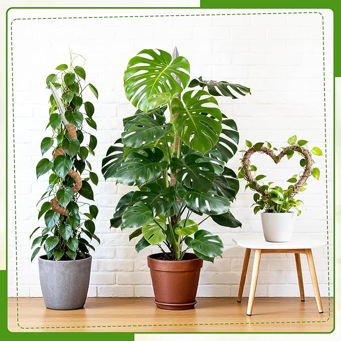 3 Pack 28'' Bendable Moss Pole for Plants, Heavy Duty Moss Plant Support Pole for Monstera Pothos & Climbing Houseplants, Extendable Indoor Potted Plant Stake Trellis