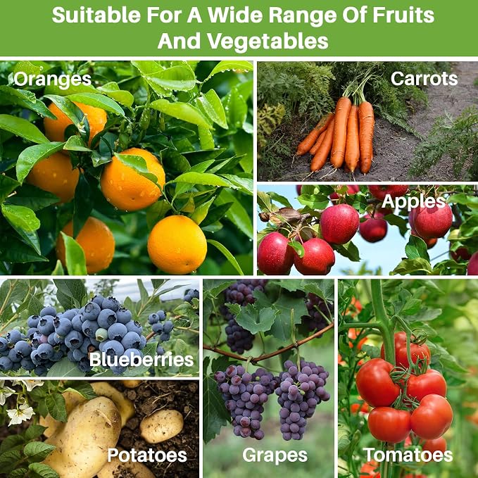 Sukh Bird Netting for Garden Protection - 3 Pack 2.3 x 3.3 FT Blueberry Bush Netting Covers with Drawstring Pest Barrier Plant Net for Fruit Trees, Tomato, Strawberry from Birds, Chicken & Cicadas