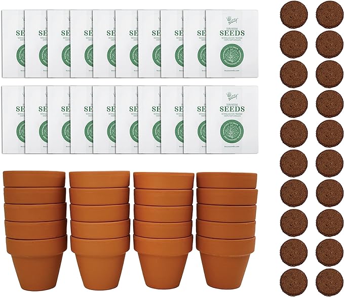 BUZZY Seeds Daisy Grow Kit, Bulk 20-Pack - Mini Terracotta Pot Grow Set - Complete Indoor/Outdoor Gardening Kit with Seeds, Coconut Husk Growing Medium & Genuine Pots - 100% Grow Guarantee