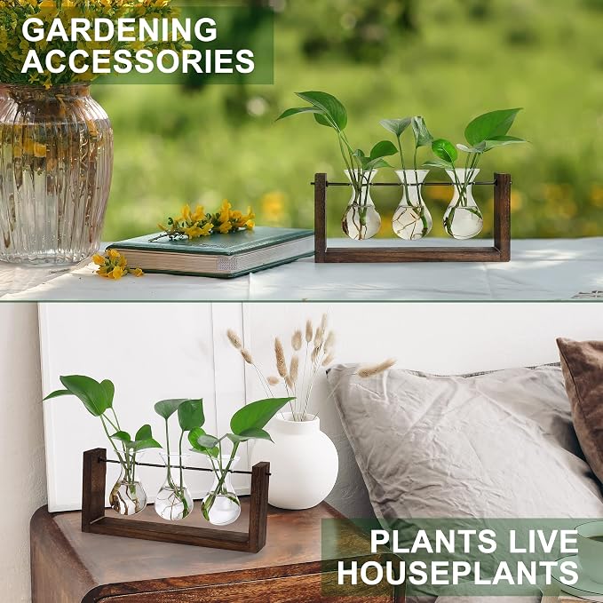 YIBOT Wall Hanging Planter Plant Propagation Stations Glass Flower Vase | Plant Terrarium with Wooden Stand,Gifts for Plant Lovers,Bathroom, Home Office Living Room Decor