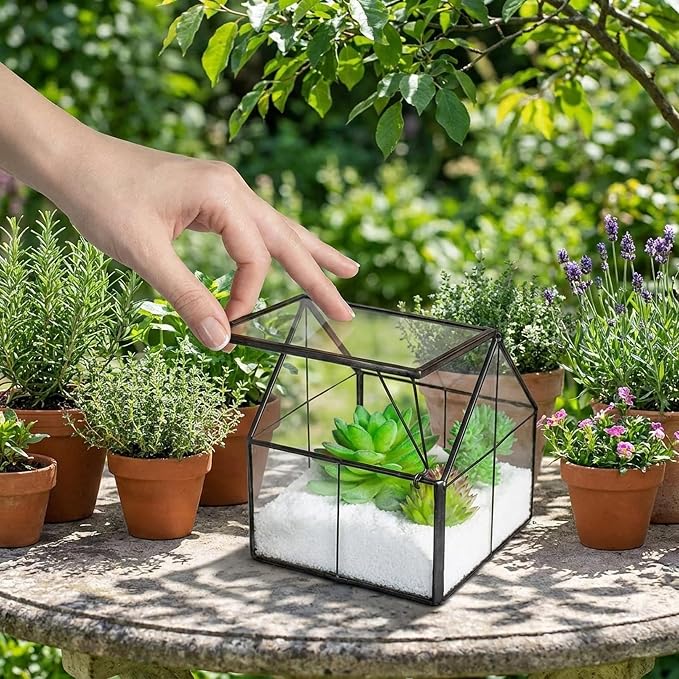 Ferrisland Glass Plant Terrarium Container Wardian Case Indoor Small Succulent Terrarium Planter w/Door for Tabletop Decor DIY - 4.9"x4.3"x4.3"