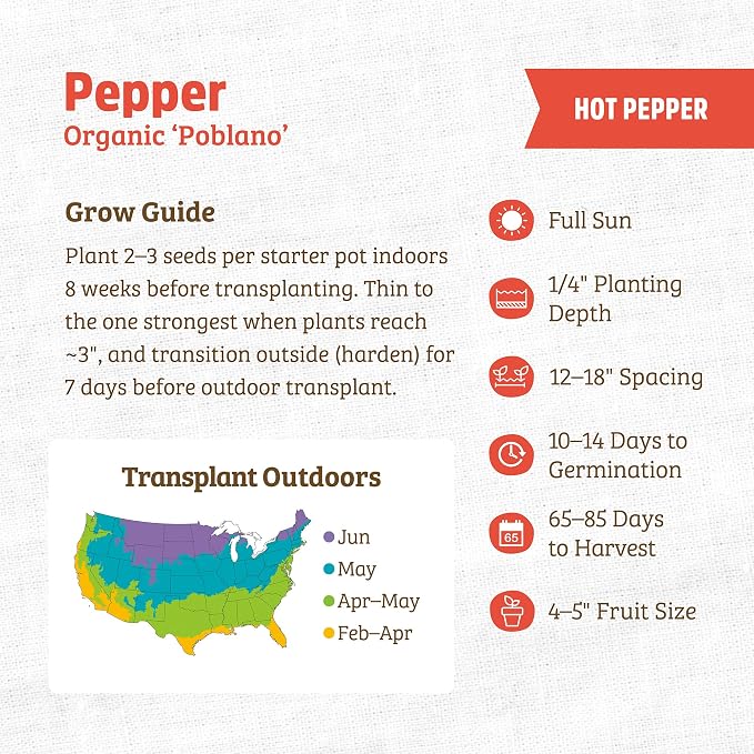 Back to The Roots 100% Organic Seed Packet - Chili Pepper 'Poblano' 140mg