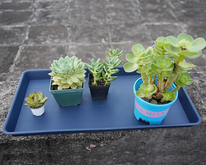 VUWEZ 4 Pack Plant Saucer Tray Rectangular, Plant Saucers for Indoors, Heavy Sturdy Plastic Plant Drainage Trays, Plant Drip Trays for Pots, Seed Starter Growing Tray (11 x 9 inch, Blue)