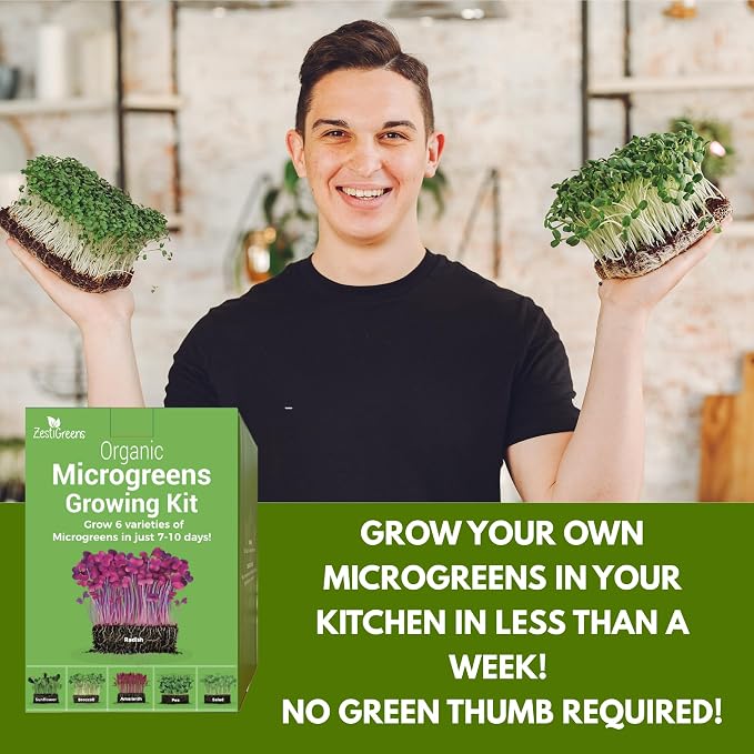 ZESTIGREENS Microgreens Growing Kit, 6-Grow Variety Pack with Most Popular & Colorful Microgreens Varieties