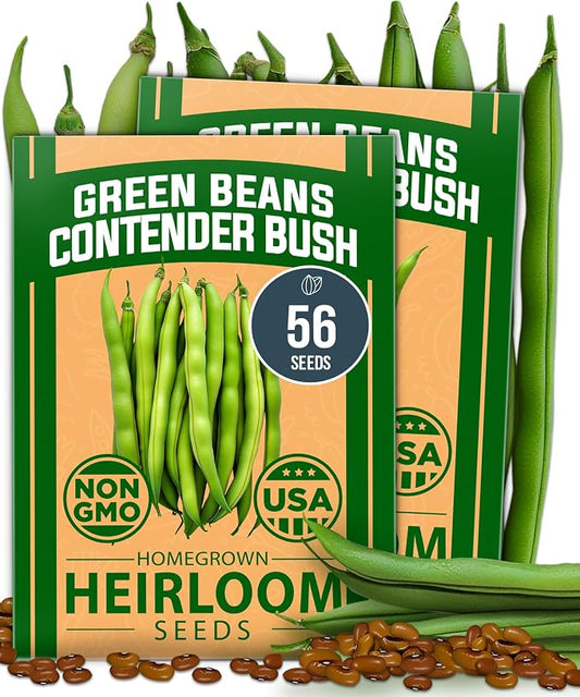 HOME GROWN Contender Bush Bean Seeds 56+ Heirloom Non-GMO, High Germination, Stringless Green Beans for Planting, Early Harvest, Emergency Food Supply, Fresh Eating & Canning (Phaseolus vulgaris)