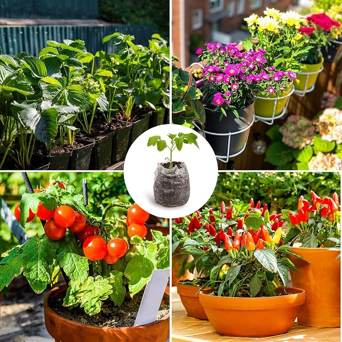MAQIHAN 100PCS Peat Pellets for Seedlings - 35MM Seed Starter Pellets Peat Pods for Starting Seeds Garden Soil for Planting Transplanting Growing Garden Flower