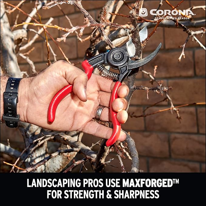 Corona BP 3640 Forged Steel ErgoACTION Angled Bypass Hand Pruner - 3/4 inch Cut Capacity Stem and Branch Garden Shears, Red (Pack of 6)