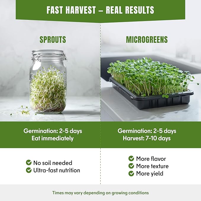 SproutMe Microgreens & Sprouting Seeds Variety Pack – 10 Varieties for Indoor & Outdoor Growing, Non-GMO Heirloom – Arugula, Beet, Basil, Broccoli, Cabbage, Kale, Mustard, Pea, Radish, Spinach