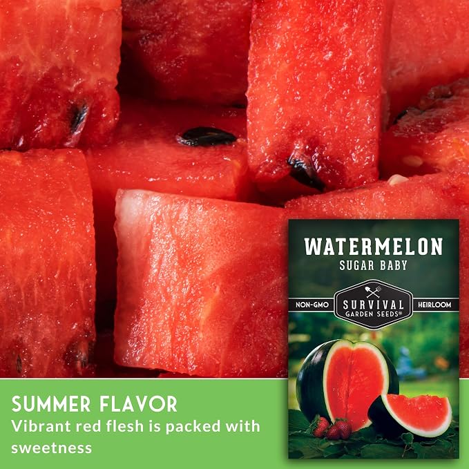 Sugar Baby Watermelon Seeds - Grow Little Round Icebox Watermelons at Home - Non-GMO Heirloom Variety for Planting - Survival Garden Seeds (2 Pack)