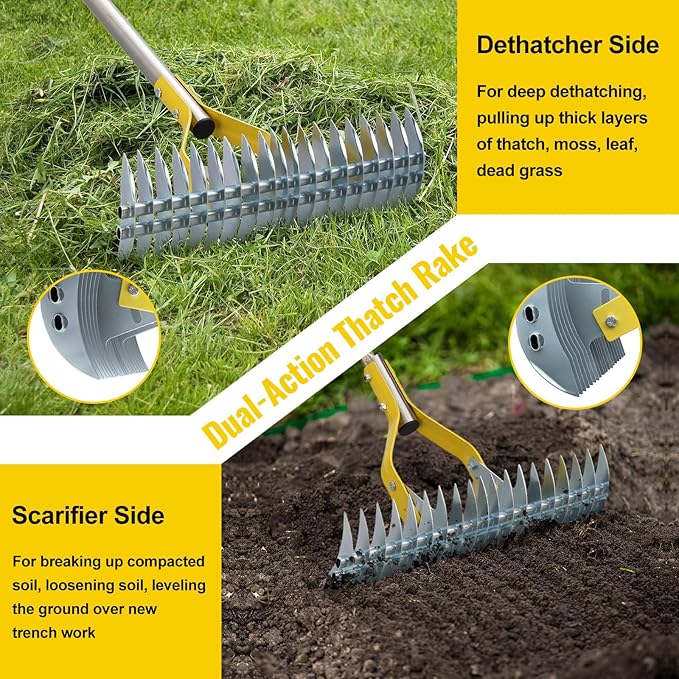 Thatch Rake, 2 in 1 Stainless Steel Garden Rake for Thatch Leaves,55” Heavy Duty 19 Tines Lawn Manual Dethatcher with Adjustable Head,Thatching Rakes for Lawn Yard Grass,Debris Removal, Soil Loosen