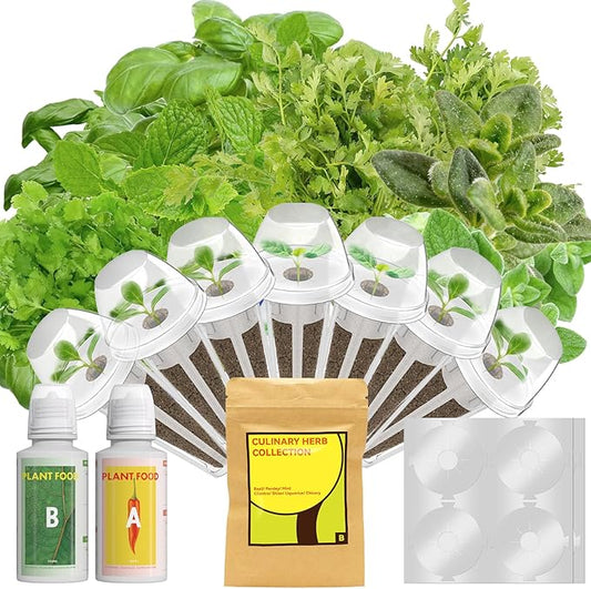 Herb Seed Pod Kit for AeroGarden, iDOO, Ahopegarden - Compatible with All Hydroponic Indoor Garden System, 350+ Seeds Includes Basil, Parsley, Mint, Cilantro, Liquorice, 7 pods