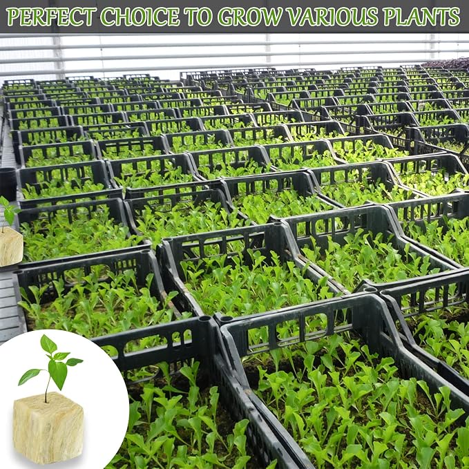 Legigo 2 Inch Rockwool Cubes for Hydroponics Seed Starter, Rock Wool Planting Cubes Hydroponic Garden Grow Plugs for Soilless Cultivation Plants Cutting Germination Clone(2 Sheet, 96 Plugs)