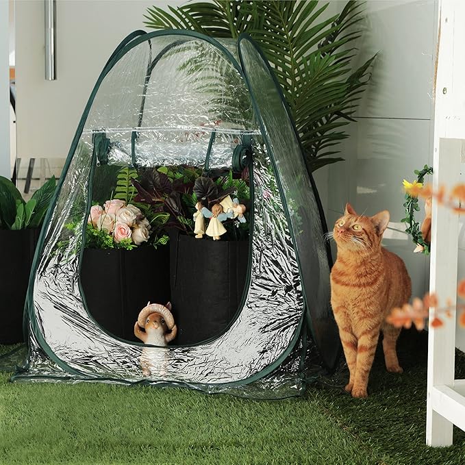 Gardzen 27"x27"x31" Pop up Grow Greenhouse Small Greenhouse, Steel Frame Portable Plant Flowers Mini Green House Zipper Cover for Outdoor & Indoor Use