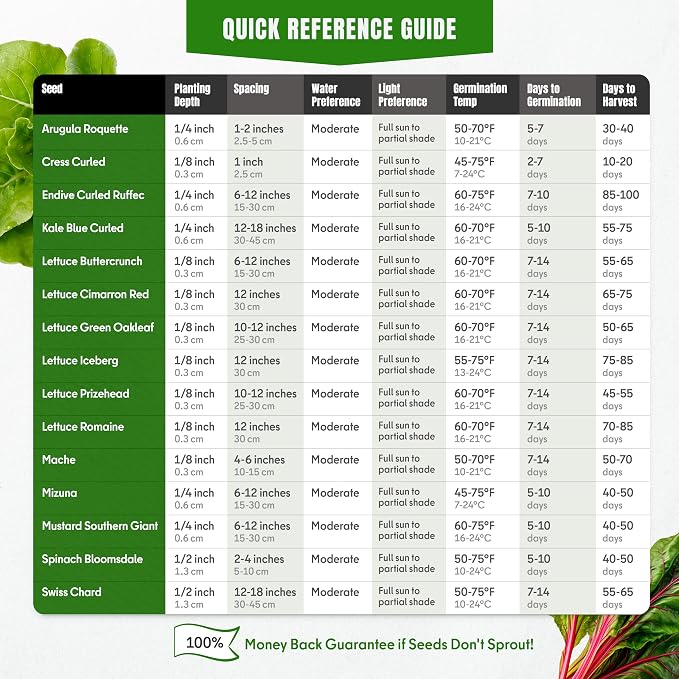 15 Lettuce & Salad Greens & 18 Culinary Herb Seeds Variety Pack Bundle 11200+ Non-GMO Heirloom Garden Seeds for Planting Herbs and Greens
