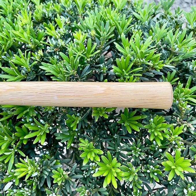 alanx 14 Inch Heavy Duty Wide Hoe, Japanese Carbon Steel with Oak Wooden Handle, Without Welding, Garden Tool for Digging, Weeding, and Planting