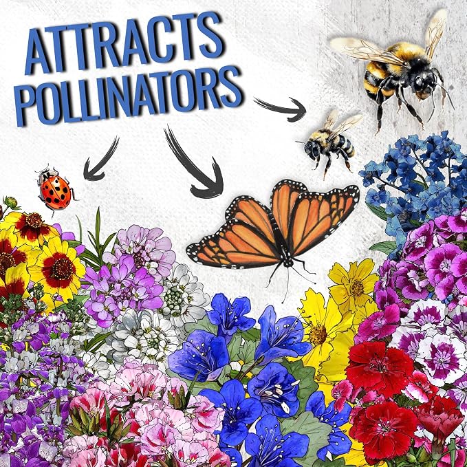 Seed Needs Low Growing Wildflower Flower Seeds for Planting | 1 Ounce Mixture/Blend 17 Varieties | Resealable Package Multicolored Blooms Open Pollinated Mixed Species | Bulk