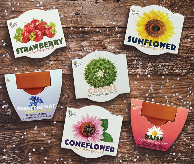 BUZZY Seeds Mini Terracotta Grow Kit, Assorted 12-Pack - Mini Terracotta Pot Grow Set - 100% Grow Guarantee