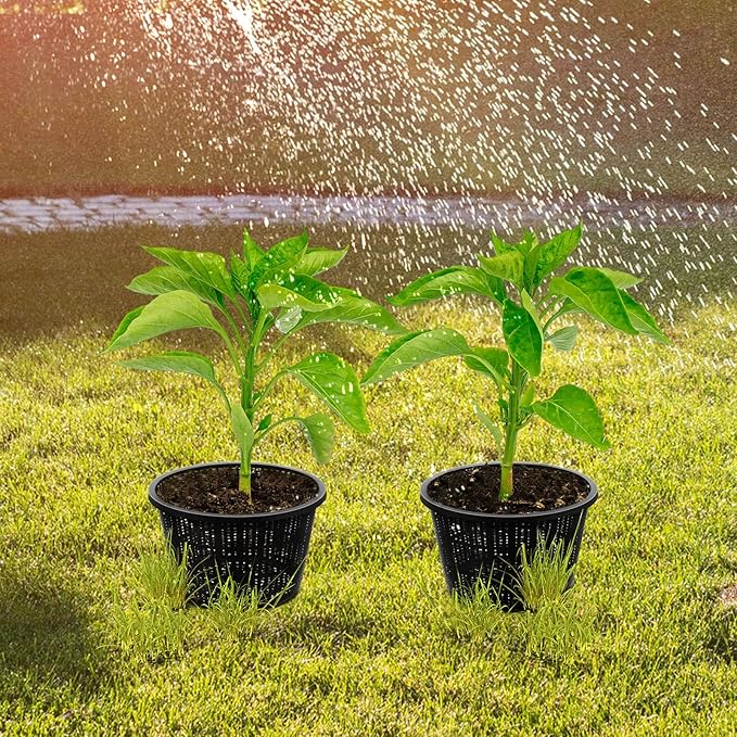 Roshtia 4 Pcs 8.35 Inch Hydroponic Baskets Aquatic Black Plastic Garden Mesh Net Pot Hydroponic Pots Slotted Pond Basket Aquarium Plant Pots for Lily Nursery Grow Planting Supplies