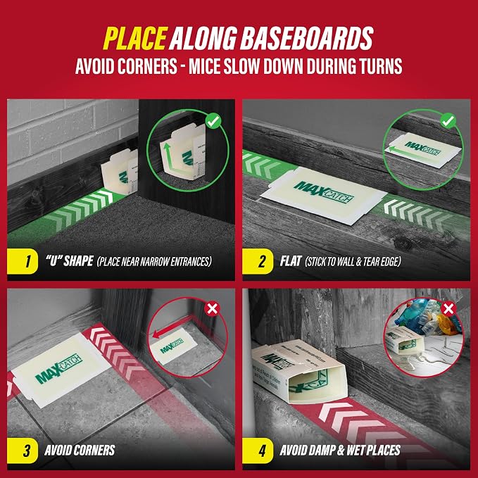 Catchmaster Max Catch Mouse & Insect Glue Traps, Case of 6 Packs of 72 Classic Glue Boards (432 Total), Bulk Mouse Traps Indoor for Home, Pest Control for Industrial & Office Use