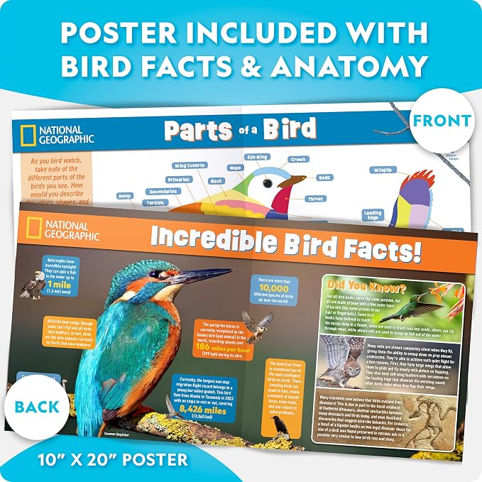 National Geographic Build Your Own Bird Feeder Craft Kit for Kids 6+ – DIY Wooden Feeder Craft with Paints, Brush, Bird-Watching Journal & Educational Poster for Kids, Outdoor Crafts, Bird Watch Kit