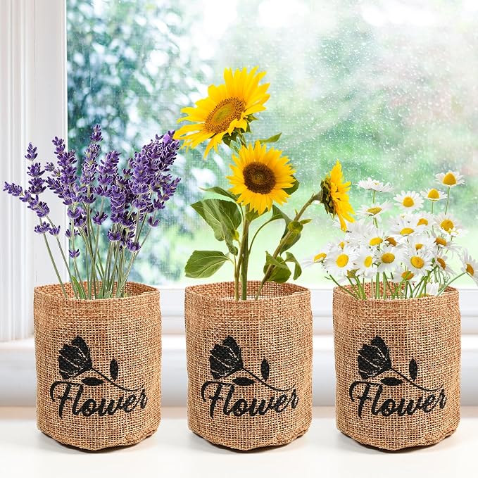 Meekear 5 Kit - Growing into Shasta Daisy, Cornflower, Sunflower, Zinnia, Lavender for Indoor Outdoor Garden DIY Gifts