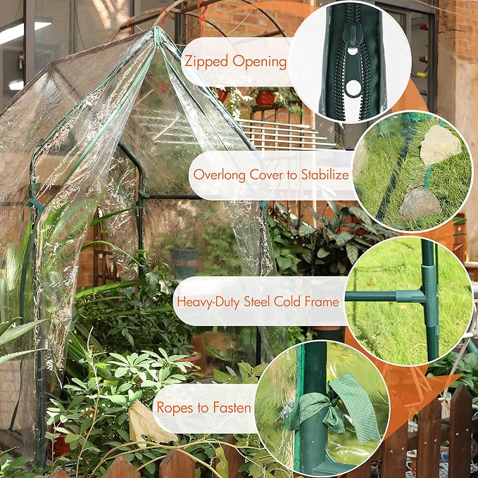 Gardzen Mini Greenhouse Heavy Duty Portable Green House, Zipper Clear Tent Small Greenhouse for Indoor Outdoor Plants 36.2”(L) x36.2”(W) x59.5”(H)